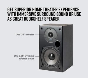 Polk T15 bookshelf speakers - tweeter & driver